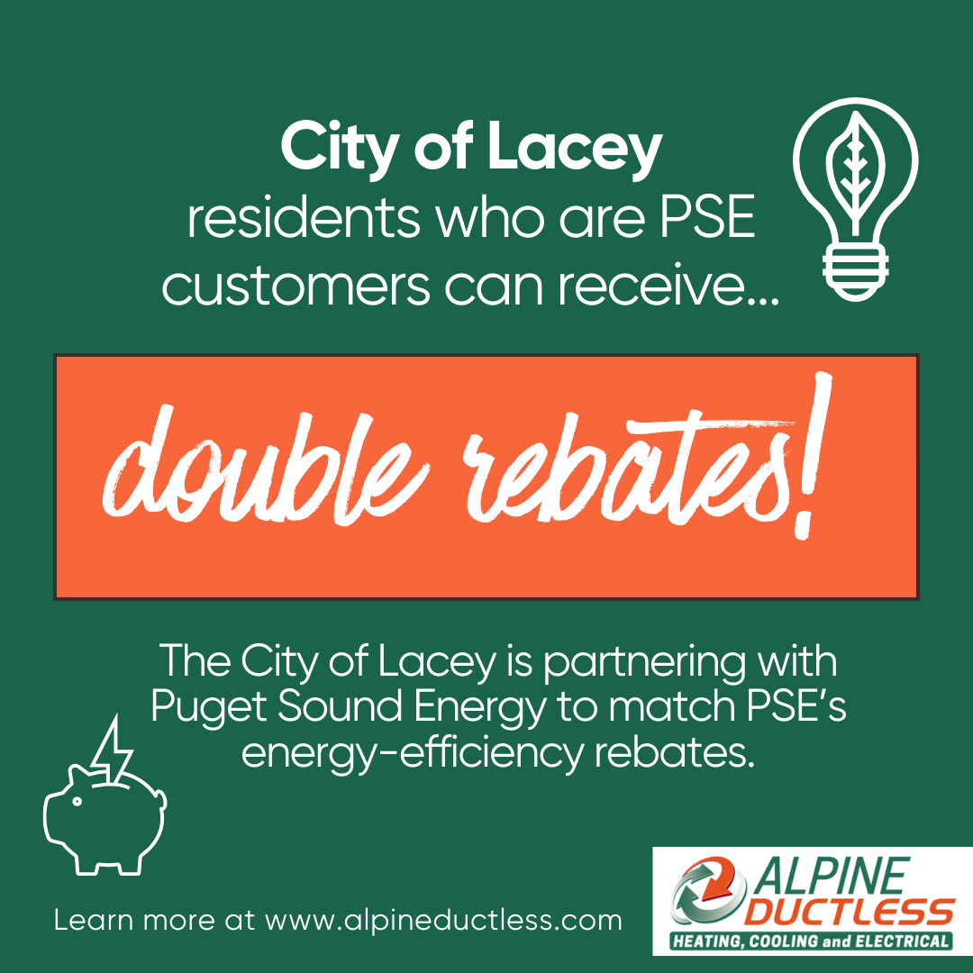 Lacey Double rebates